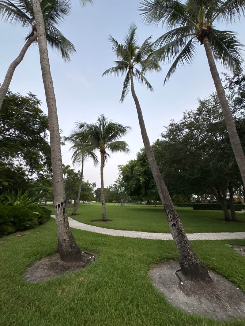 walking near me in Bradley Park in summer