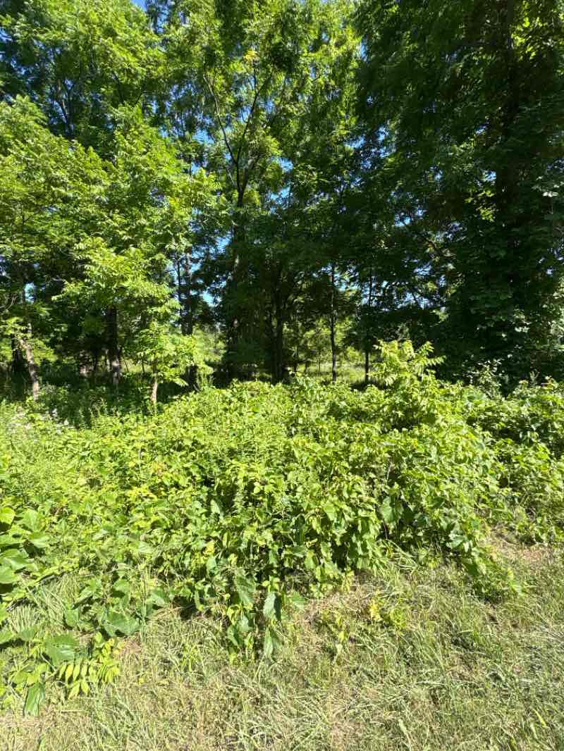 walking near me in Garth Reservior Park in autumn