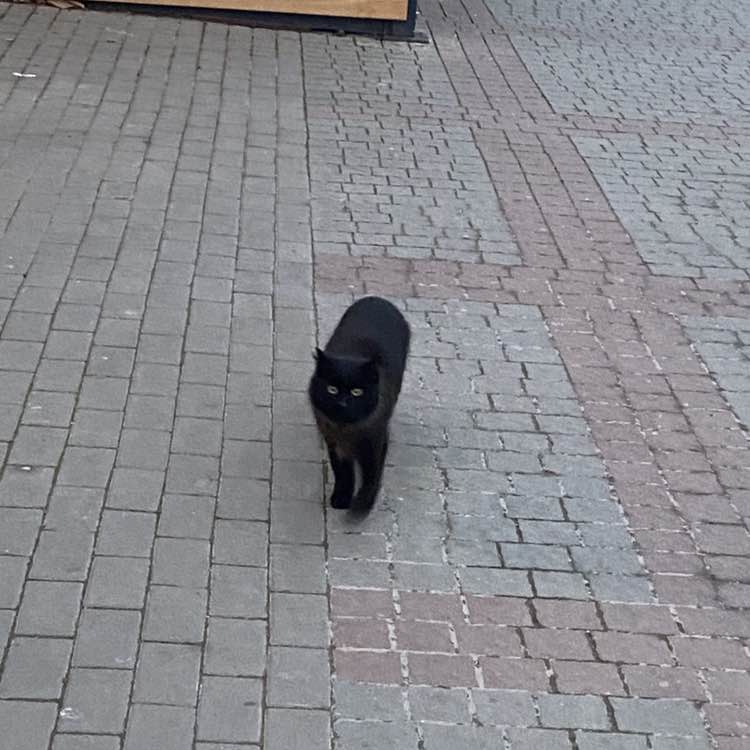 🛸✨Акулина ✨🇷🇺 post 2