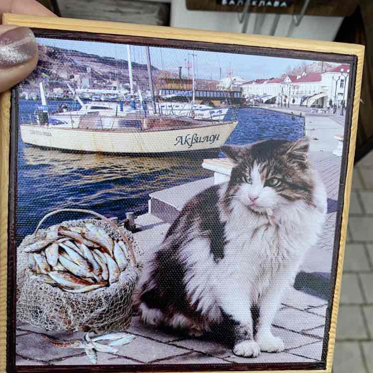 🛸✨Акулина ✨🇷🇺 post 3