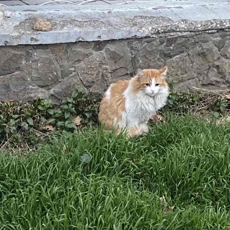 🛸✨Акулина ✨🇷🇺 post 1