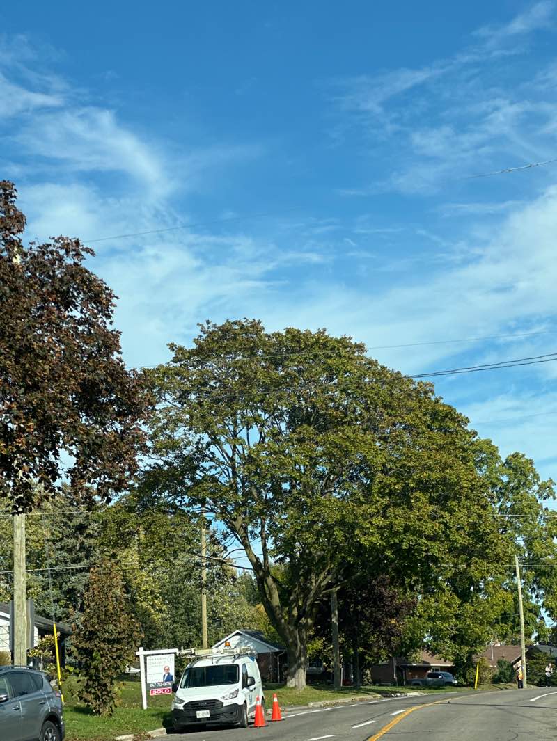walking near me in Centennial Park in autumn