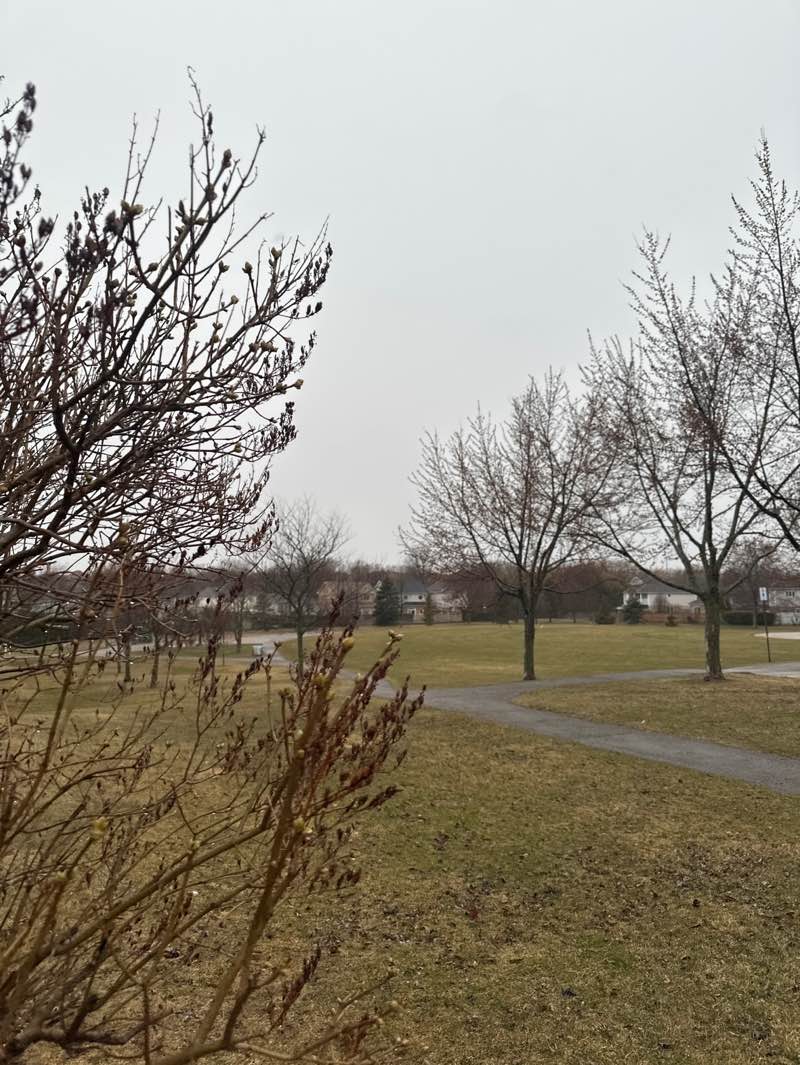 walking near me in Iroquois Shoreline Park in spring