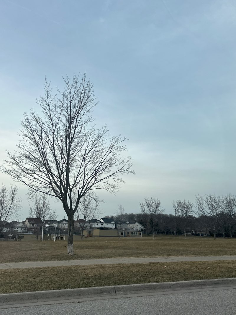 walking near me in Sherwood Park in spring