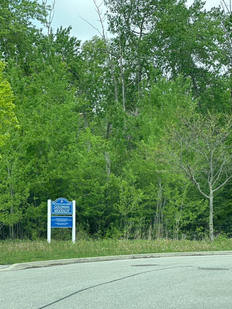 walking near me in The Nathan and Marvin Goldman Woodlot in spring