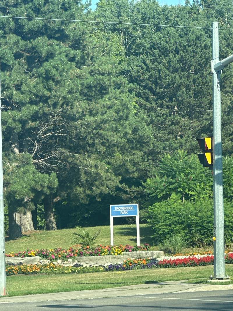 walking near me in Trowbridge Park in autumn