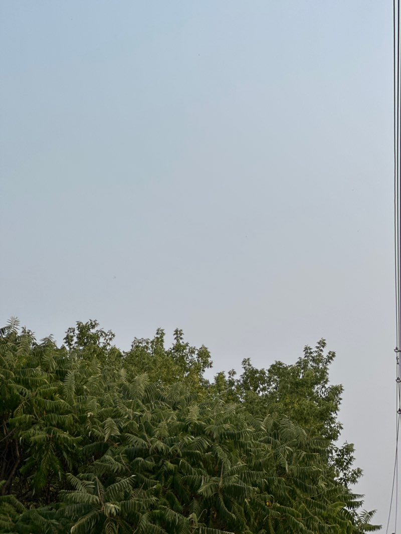 walking near me in Harmony Valley Park in autumn