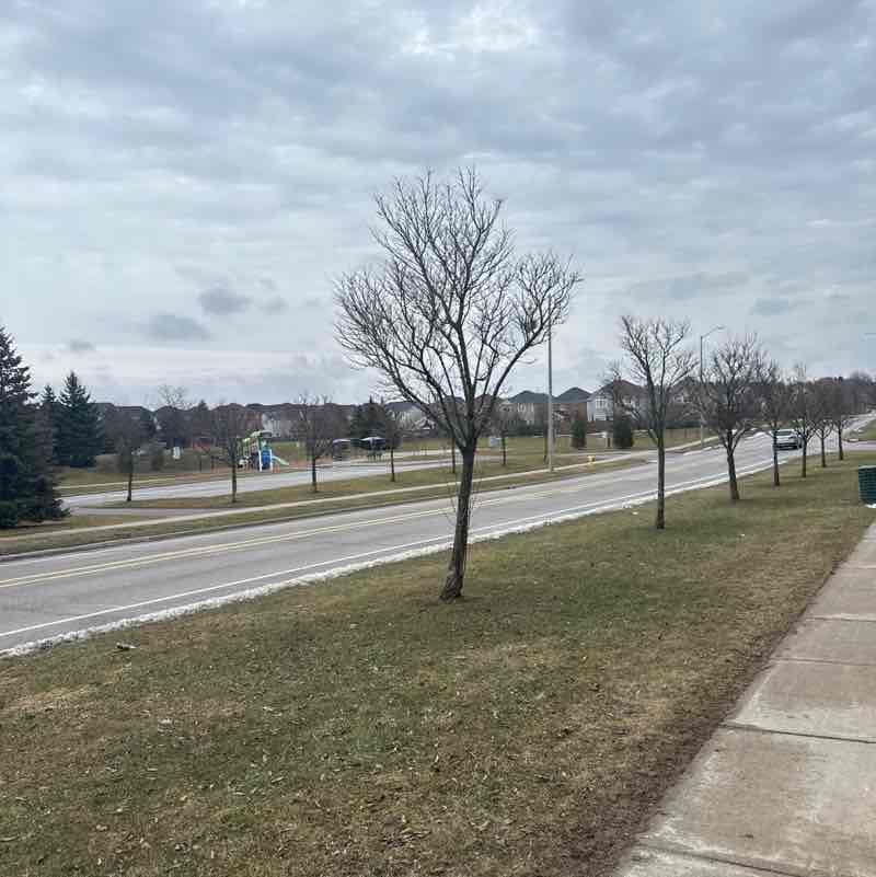 Alexander Schram post 1