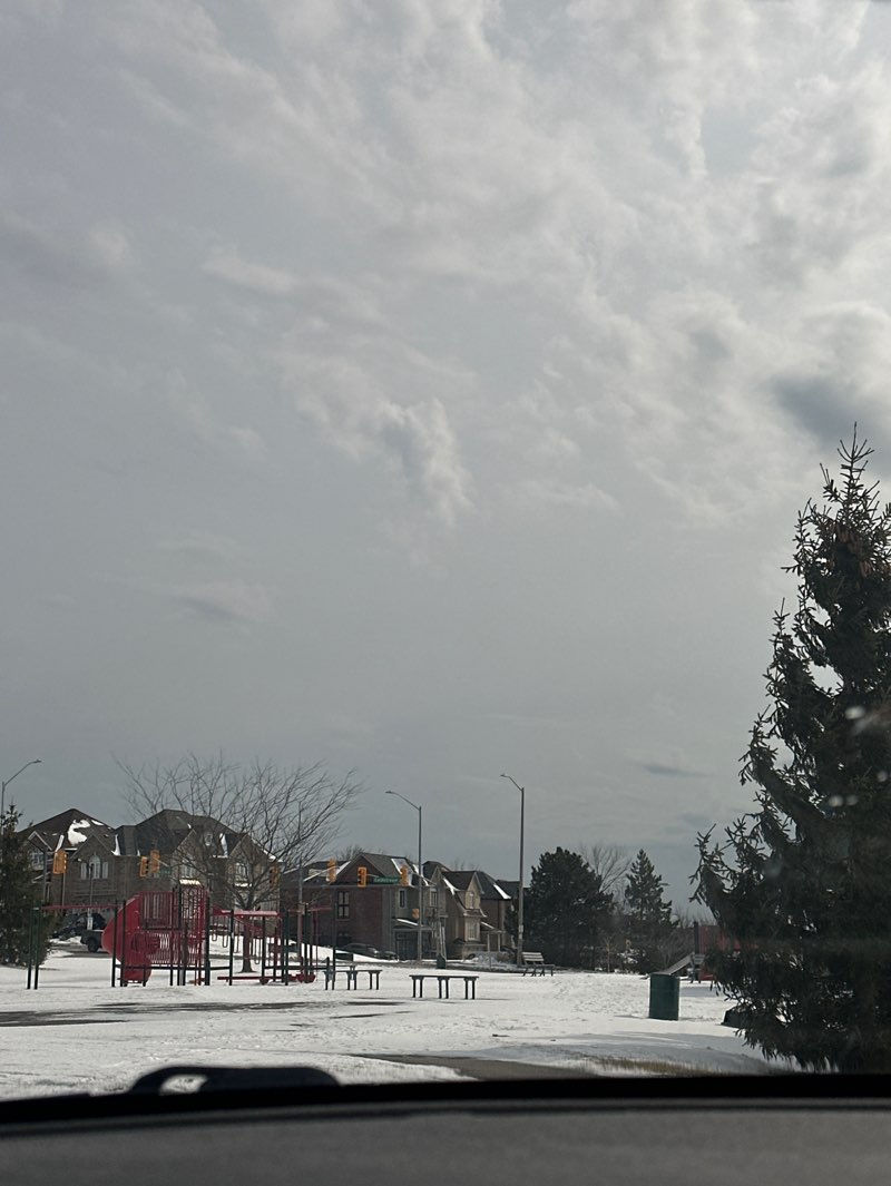 walking near me in Mountjoy Park in spring