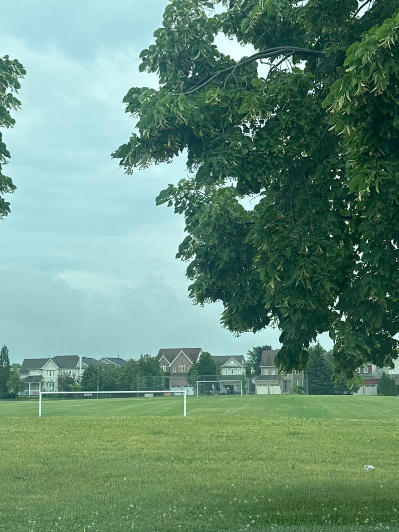 walking near me in Coldstream Park in summer