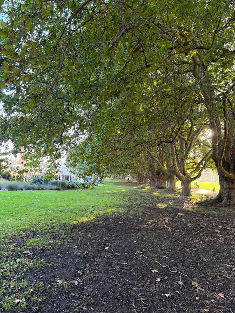 walking near me in Victoria Park in autumn
