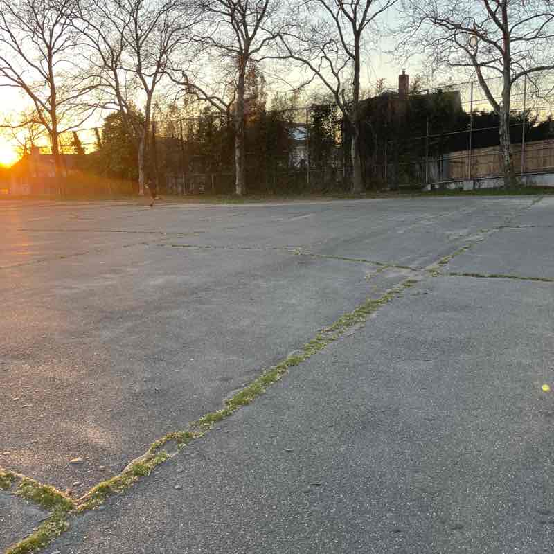 PacerPal post 3