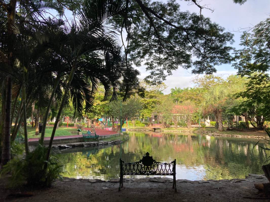 walking near me in Joyyo Mayu in winter