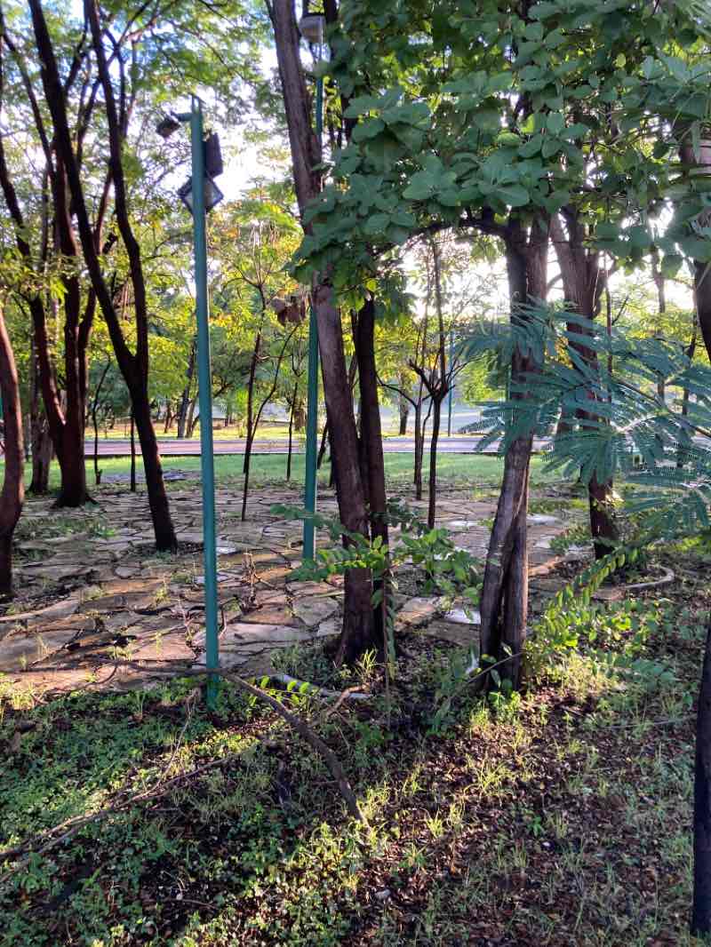 walking near me in Caña Hueca in winter