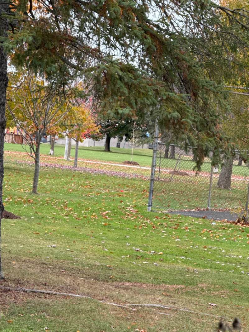 walking near me in Greenboro Park in autumn