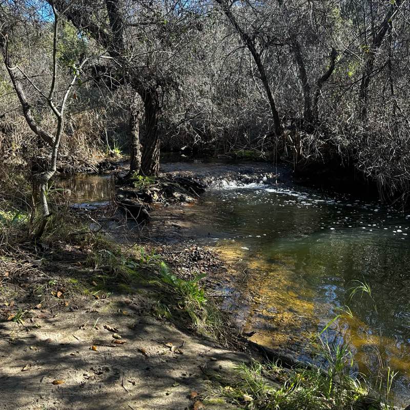 walking near me in Los Peñasquitos Canyon Preserve in winter