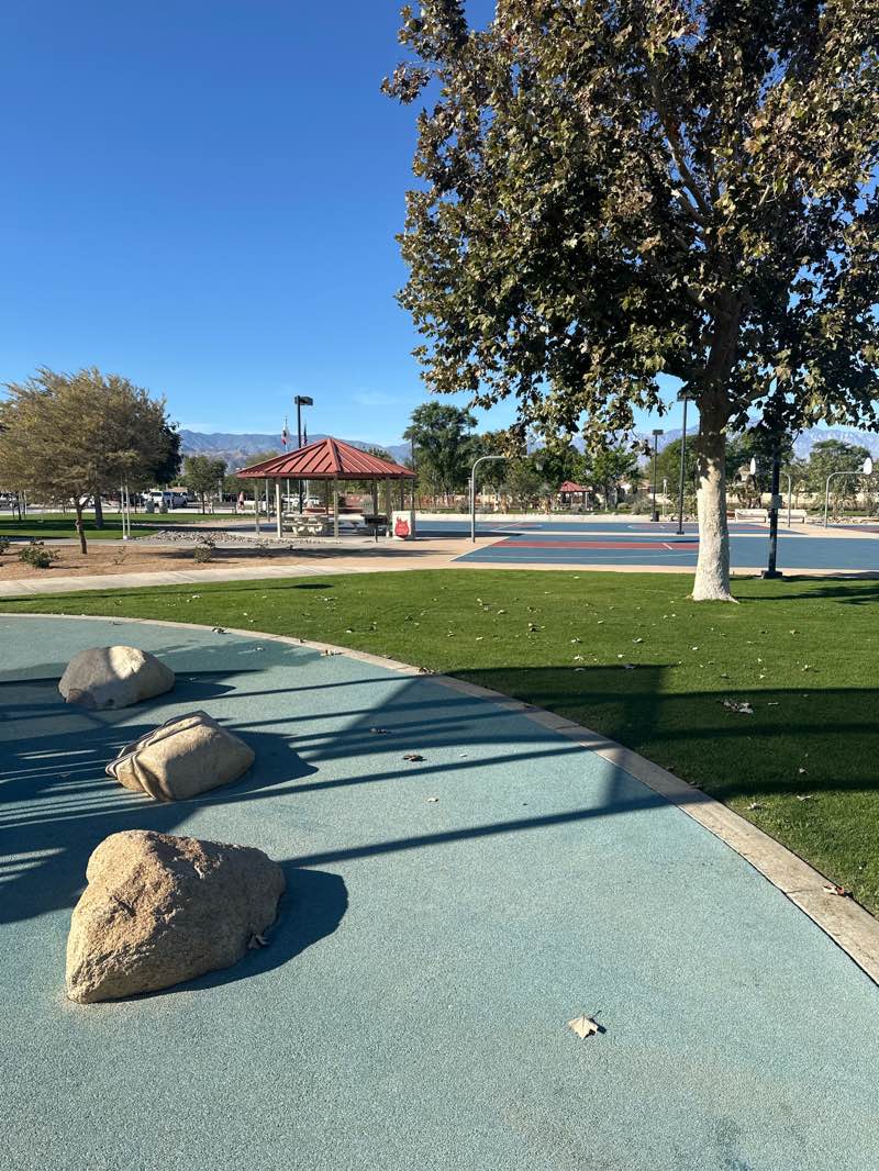 walking near me in Freedom Park in winter