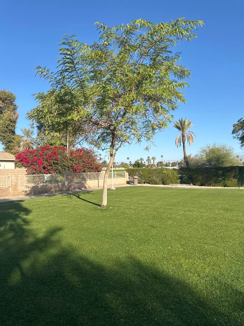 walking near me in Joe Mann Park in winter