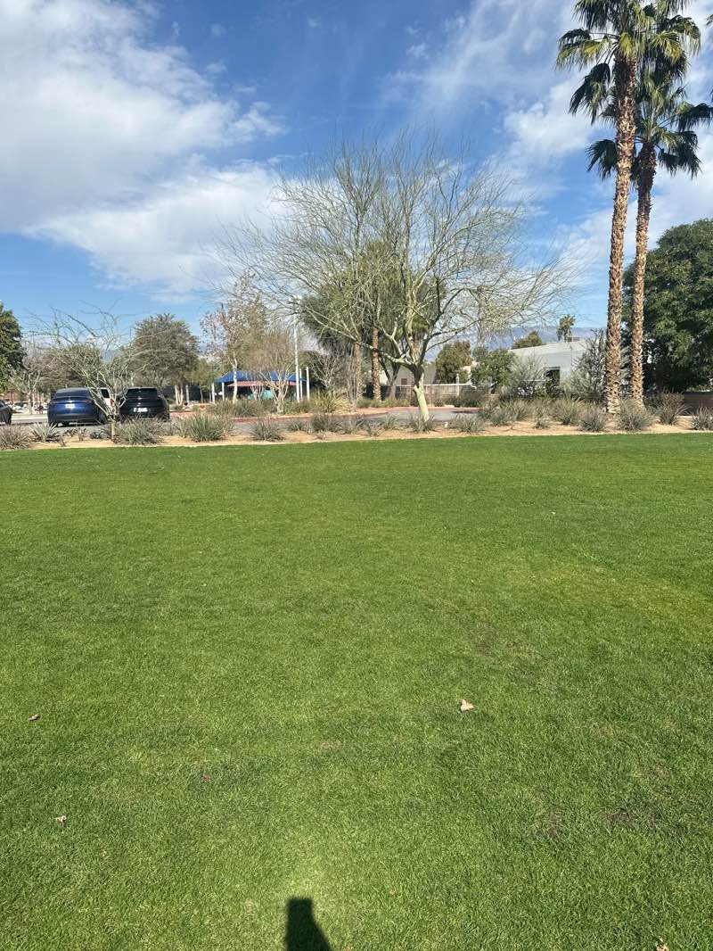 walking near me in Freedom Park in winter