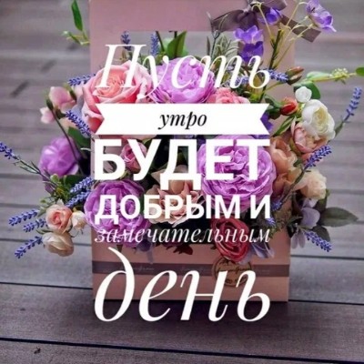 🖤Краснодар💚 ✨️Kир@🌷 post image