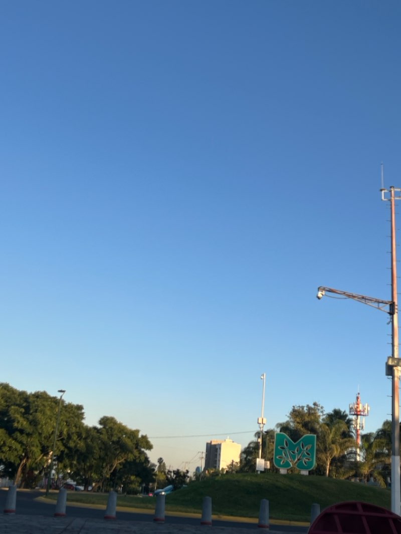 walking near me in Glorieta Minerva in autumn