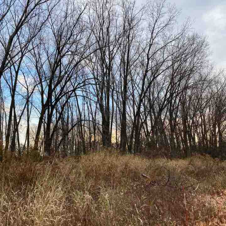 GreenBay-Naturally sesko1961 post image