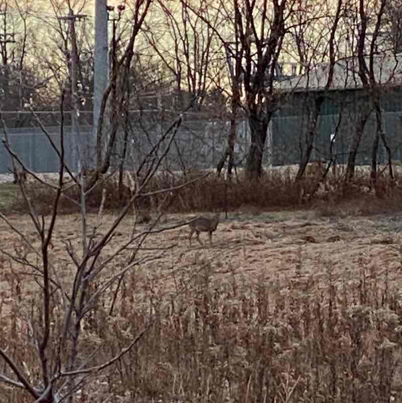 GreenBay-Naturally sesko1961 post image