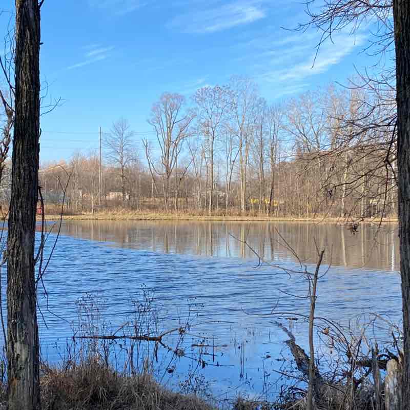 GreenBay-Naturally sesko1961 post image