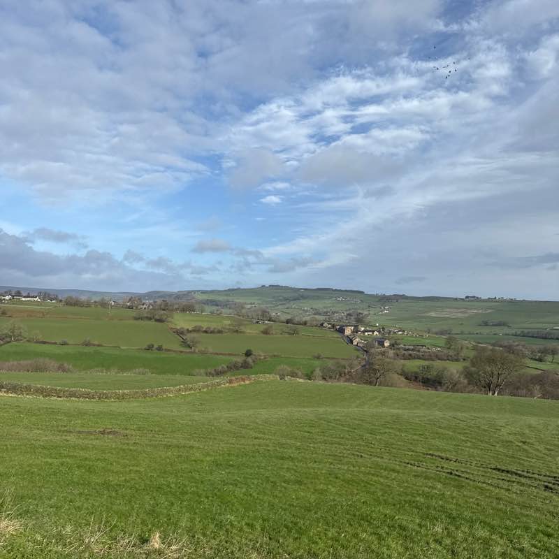 Bestie Soji post image