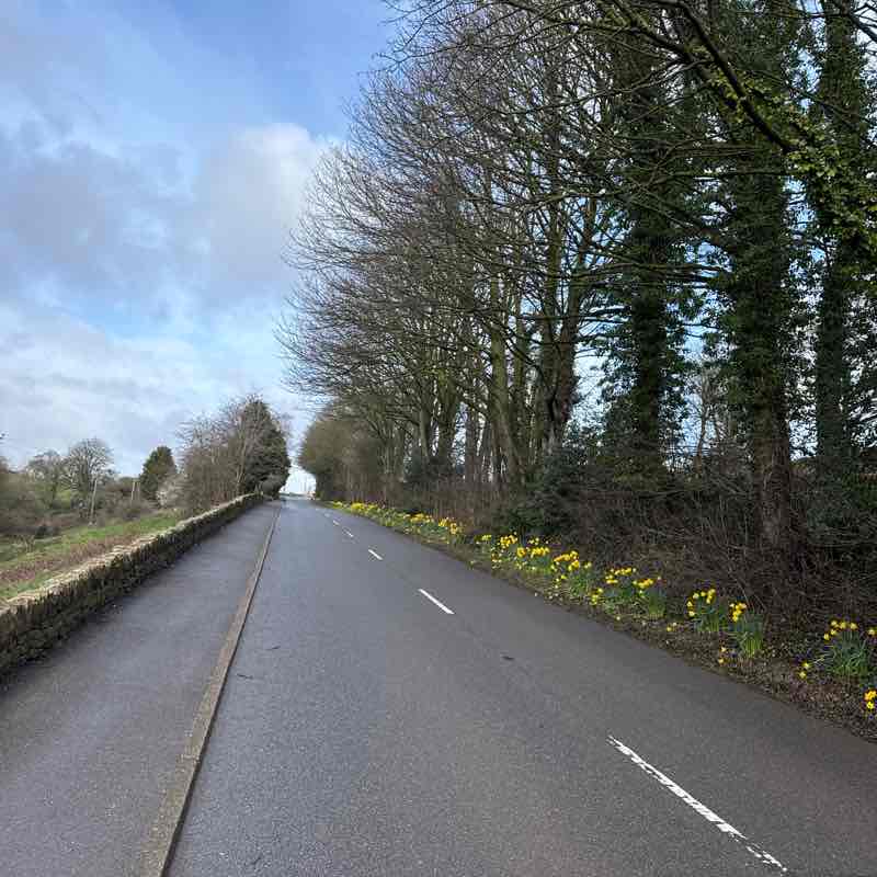 Bestie Soji post image