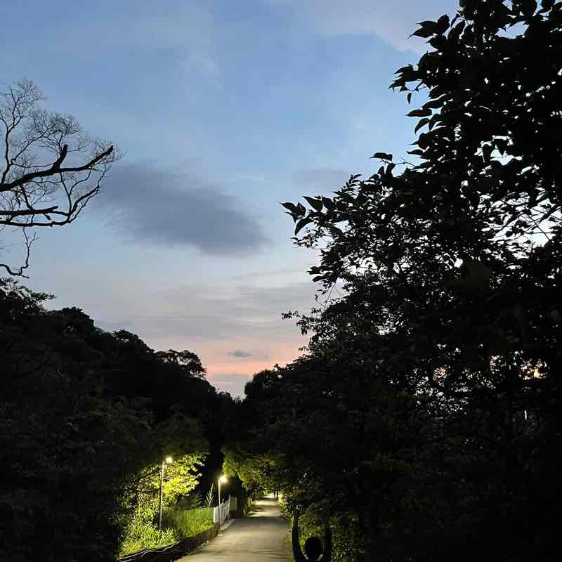 Michael Taiwan🇹🇼 post 2