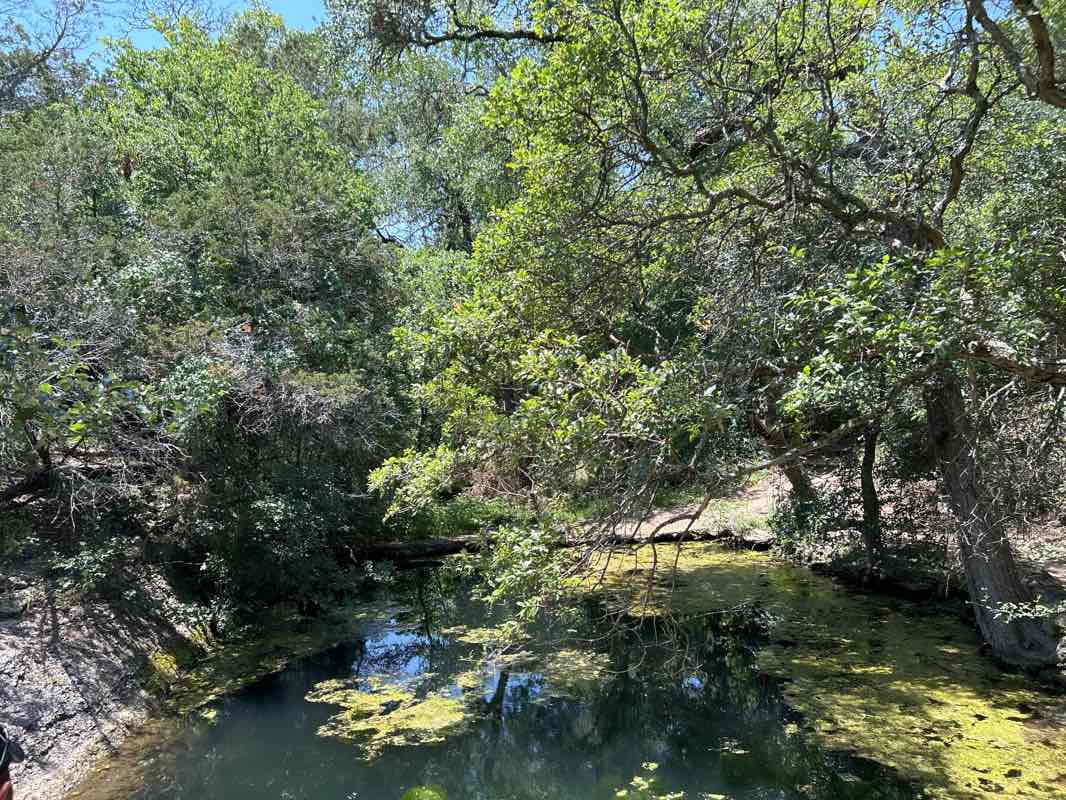 walking near me in Mother Neff State Park in winter