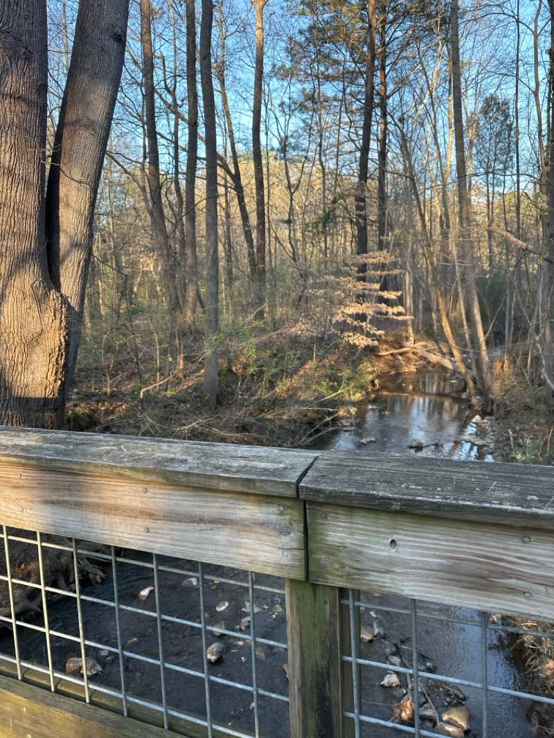 walking near me in McDaniel Farm Park in spring