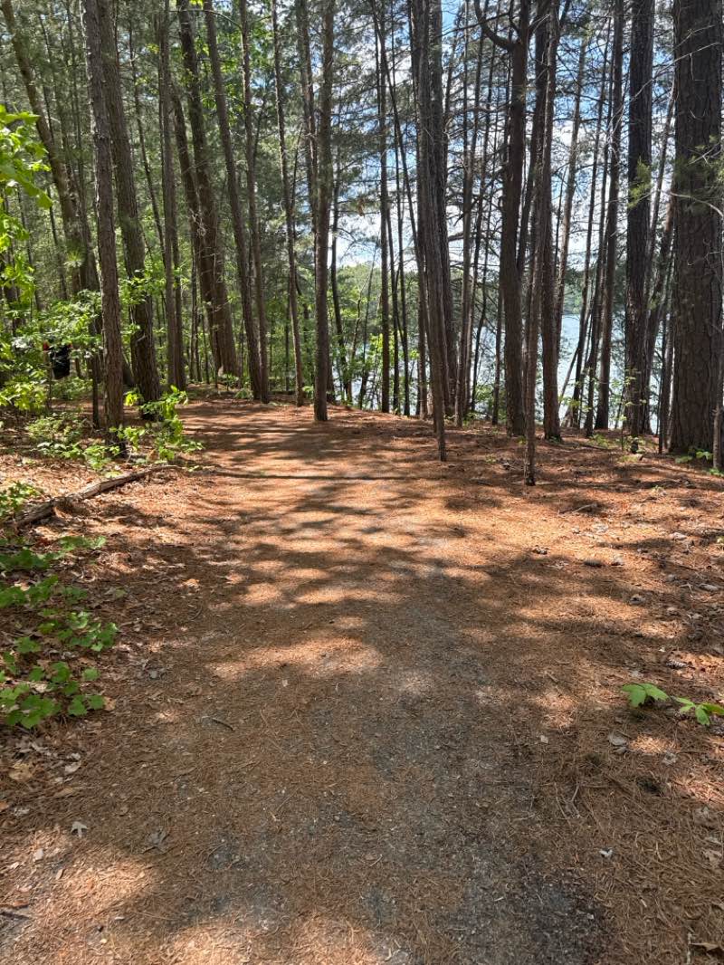 walking near me in Little Ridge Park in spring