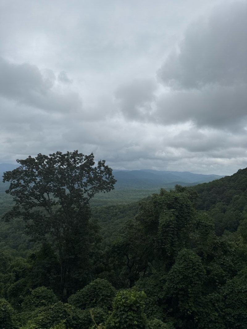 walking near me in Amicalola Falls State Park in autumn