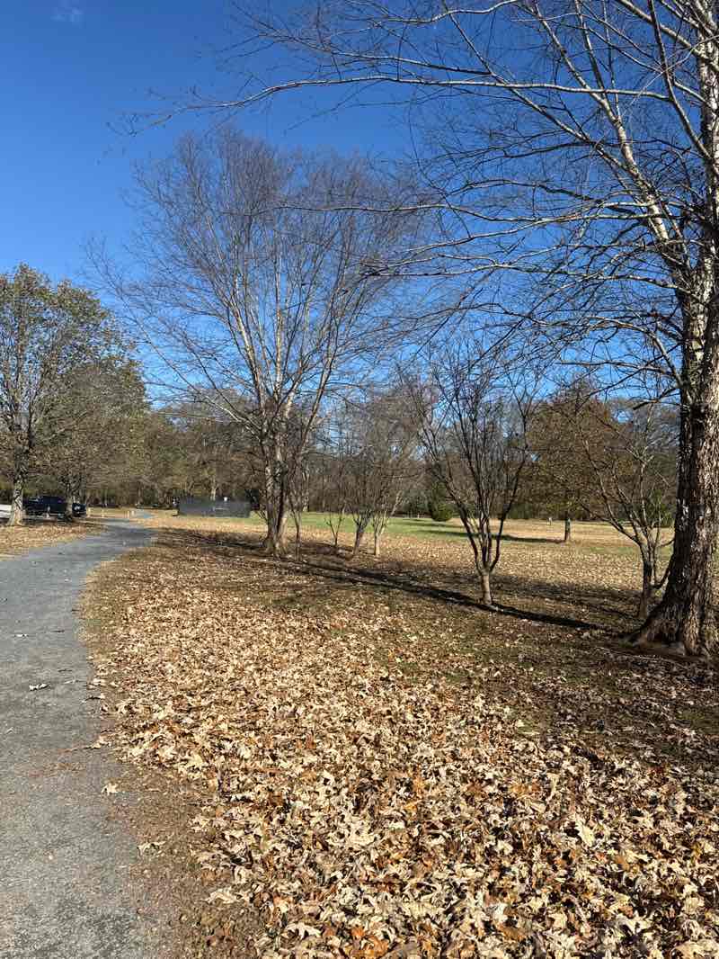 walking near me in Chattahoochee Pointe Park in autumn