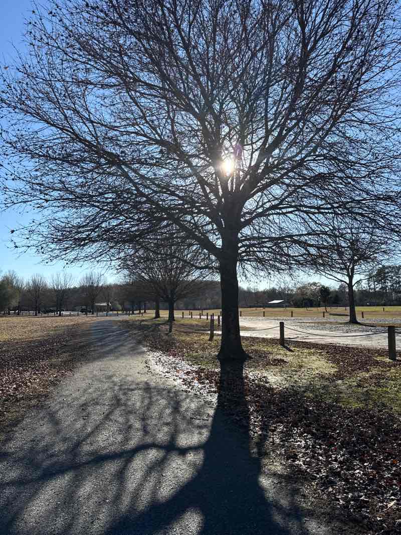 walking near me in Chattahoochee Pointe Park in winter
