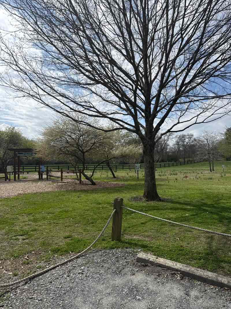 walking near me in Chattahoochee Pointe Park in spring