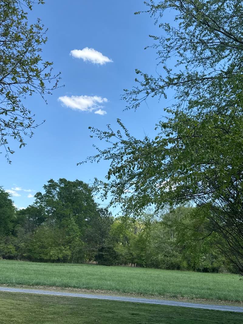 walking near me in Chattahoochee Pointe Park in spring