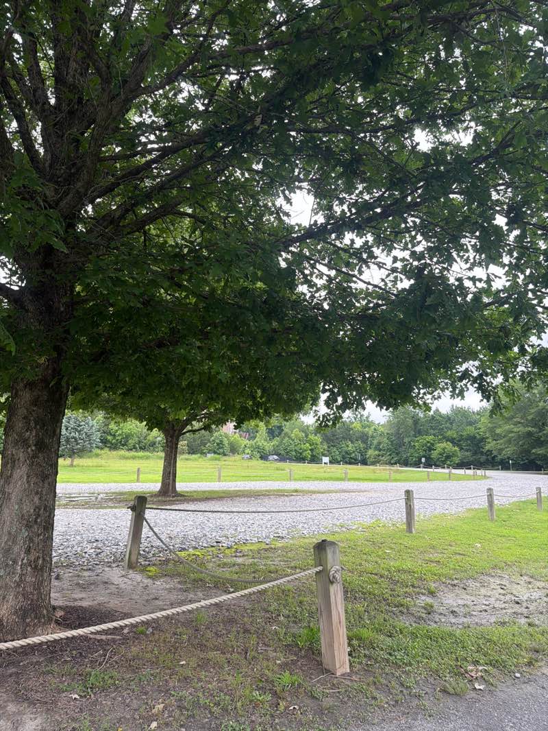 walking near me in Chattahoochee Pointe Park in summer