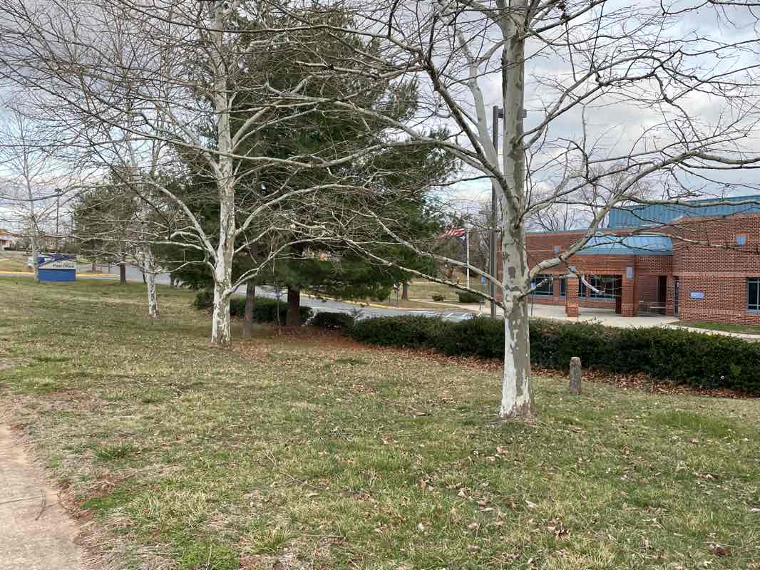 walking near me in Horsepen Run Stream Valley Park in winter