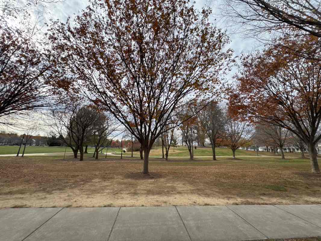 walking near me in King Farm Park in autumn