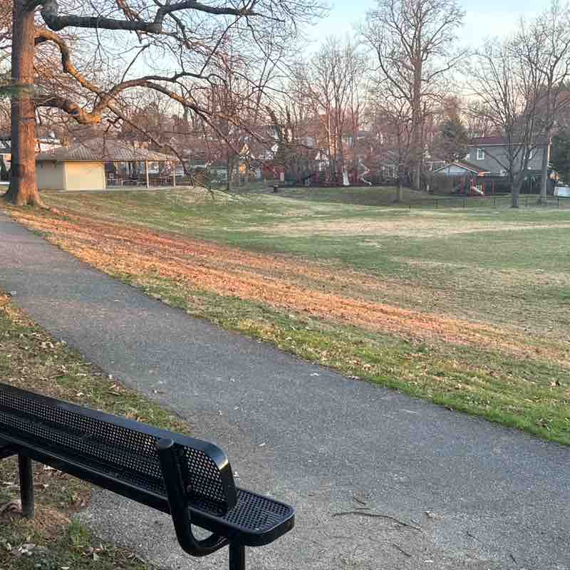 Richard II 🐦‍🔥 post 1