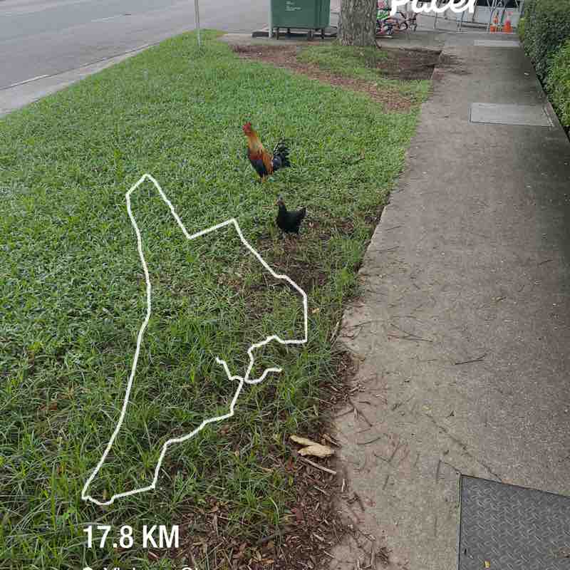 PacerPal post 1