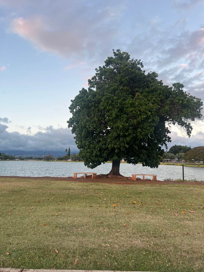 walking near me in Kapilina Lagoon Park in spring