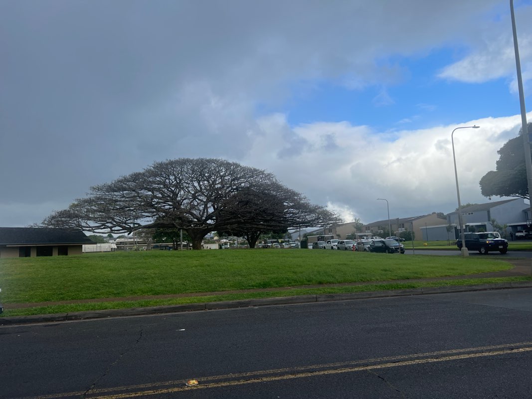 walking near me in Kipapa Park in spring