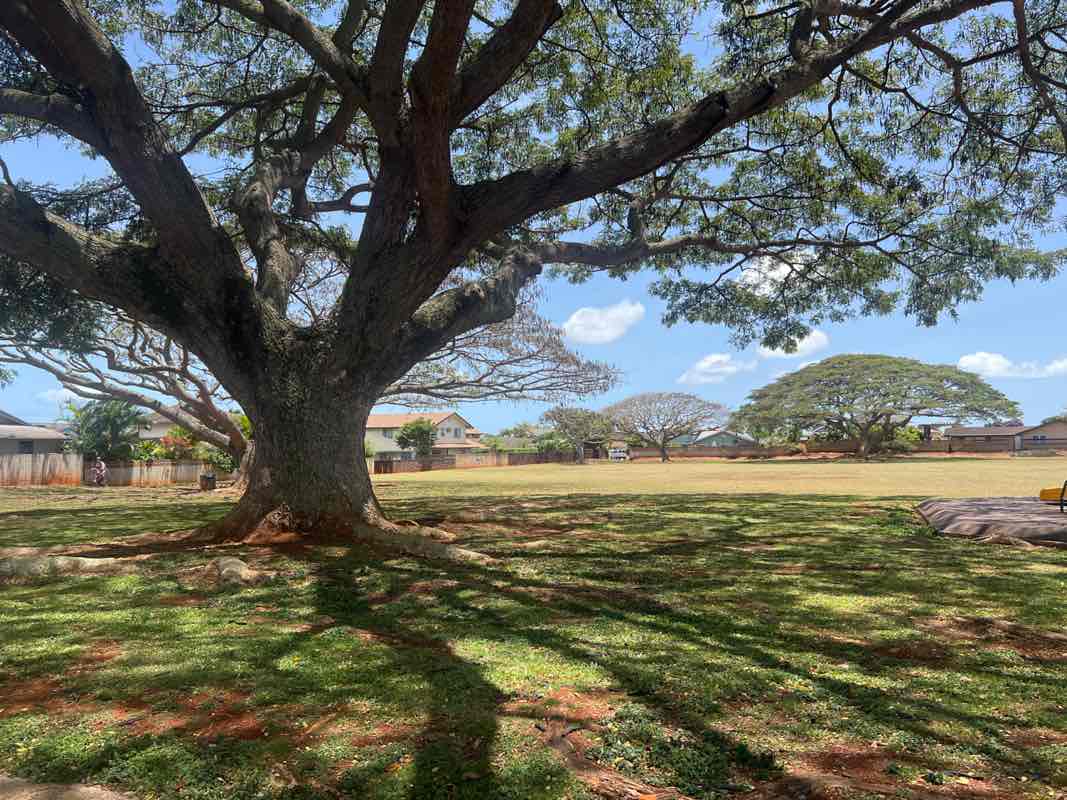 walking near me in Holanialii Park in spring