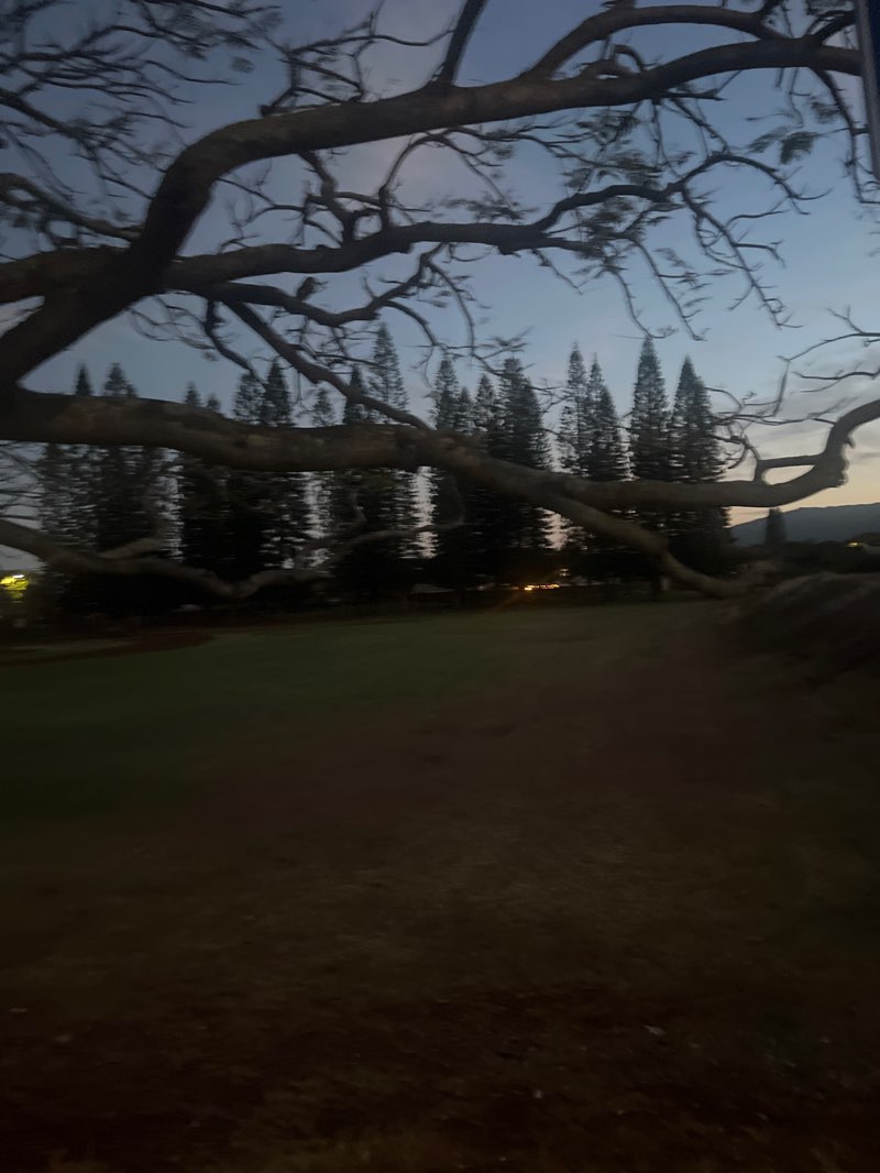 walking near me in Hokuahiahi Neighborhood Park in summer