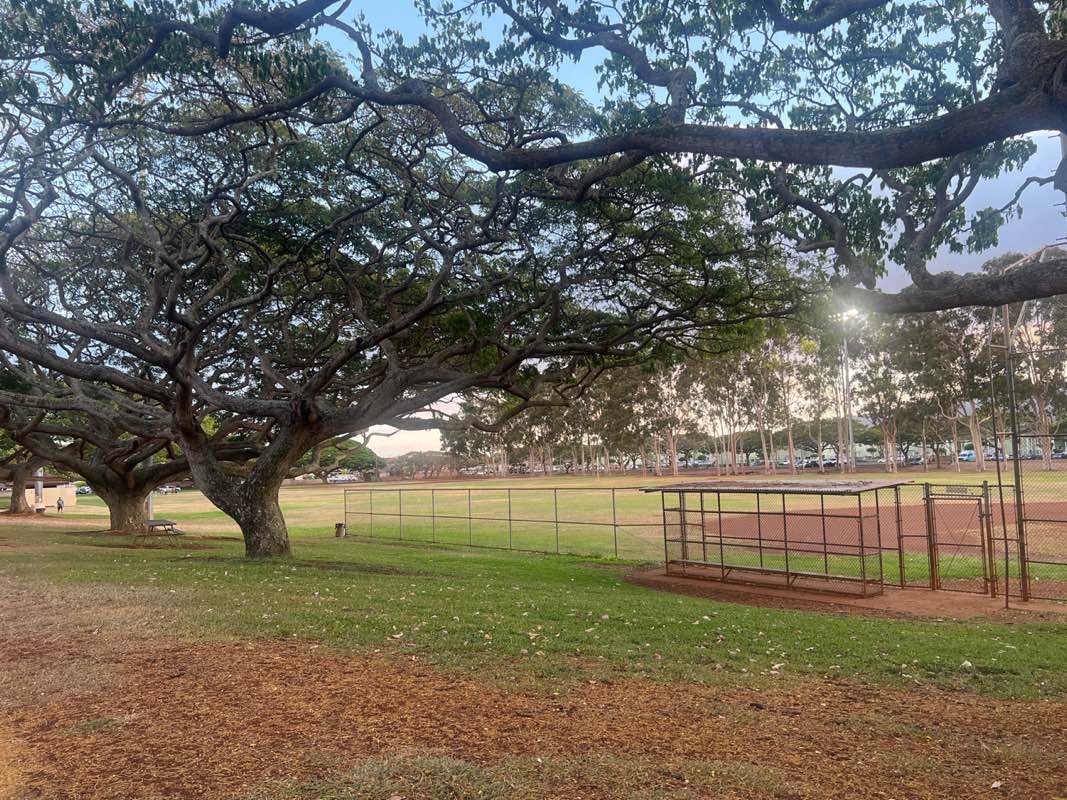 walking near me in Mililani District Park in summer