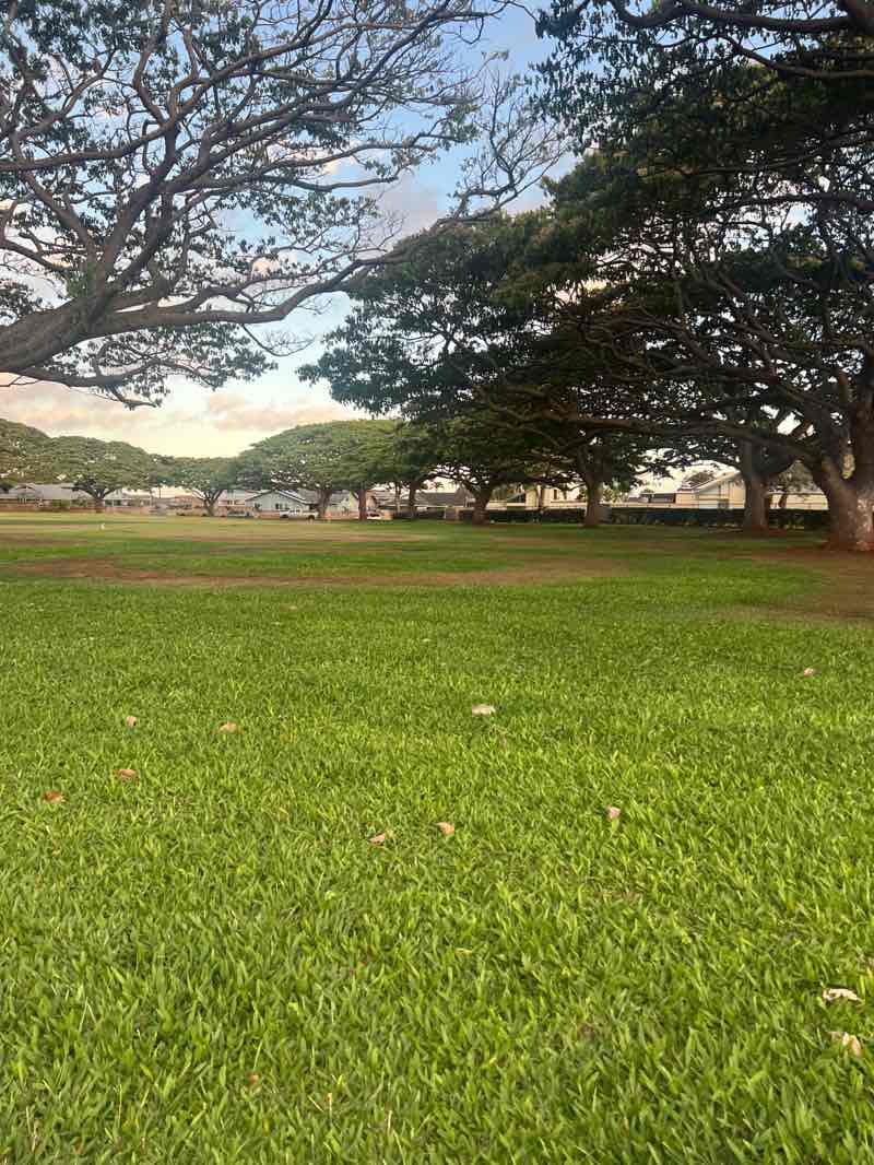 walking near me in Kealohi Park in summer